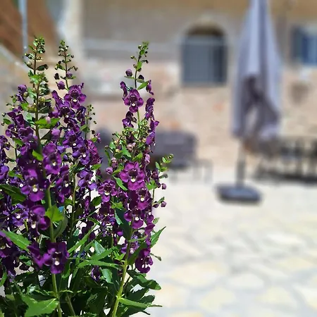 Djoumas * Katokhorion (Lefkada)